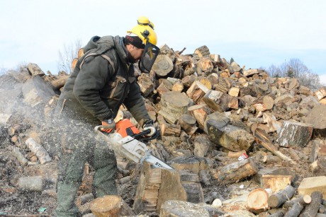 Tűzifacsalás - Ne dőljön be egy jól hangzó hirdetésnek!
